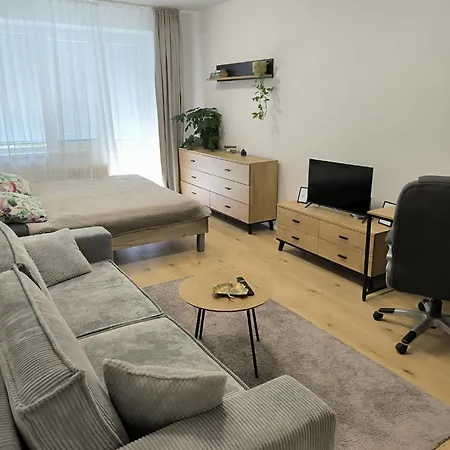 Apartament V Centre Mesta *